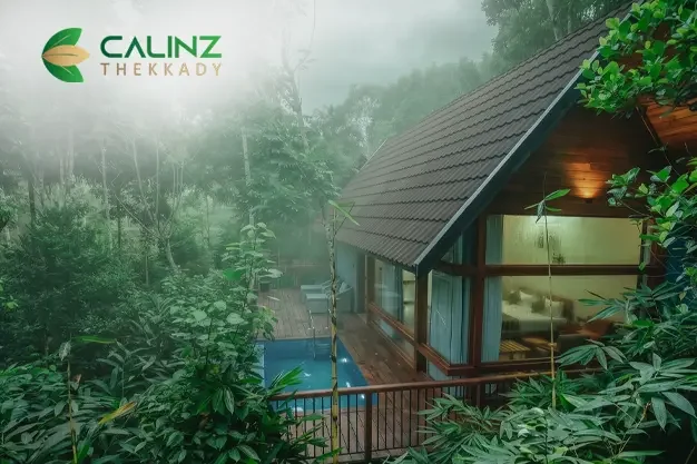 Calinz Thekkady website by I DO Designs